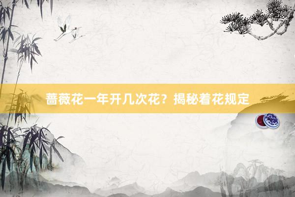 蔷薇花一年开几次花？揭秘着花规定